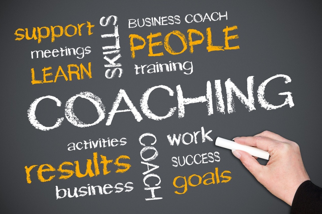 Can Business Coaching Companies Deliver  What They Promise They Would?